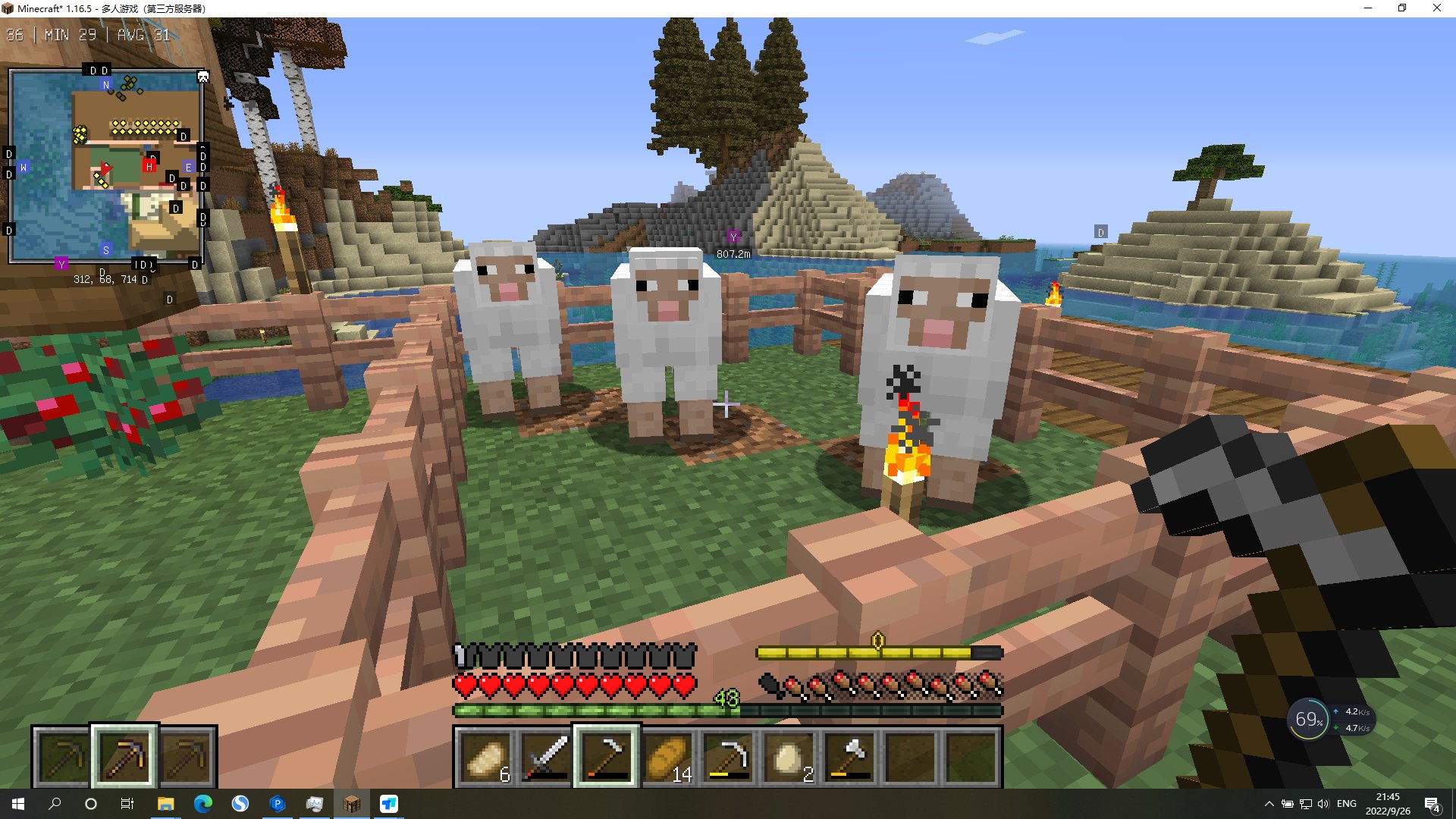 只狼：影逝二度 完整版 截图2